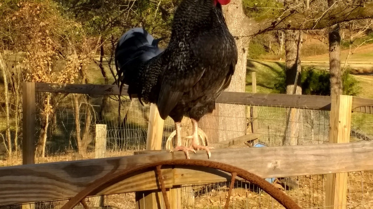 Photo of Outdoor in Rusk