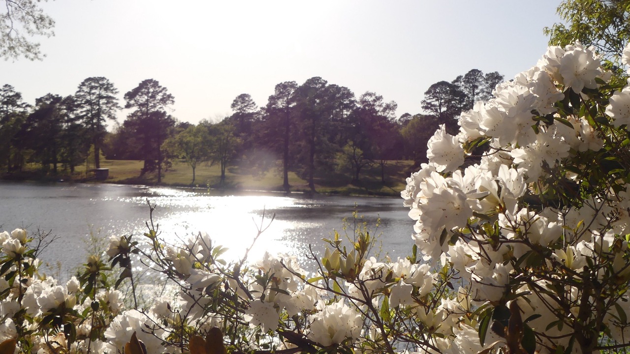 Photo of Outdoor in Rusk