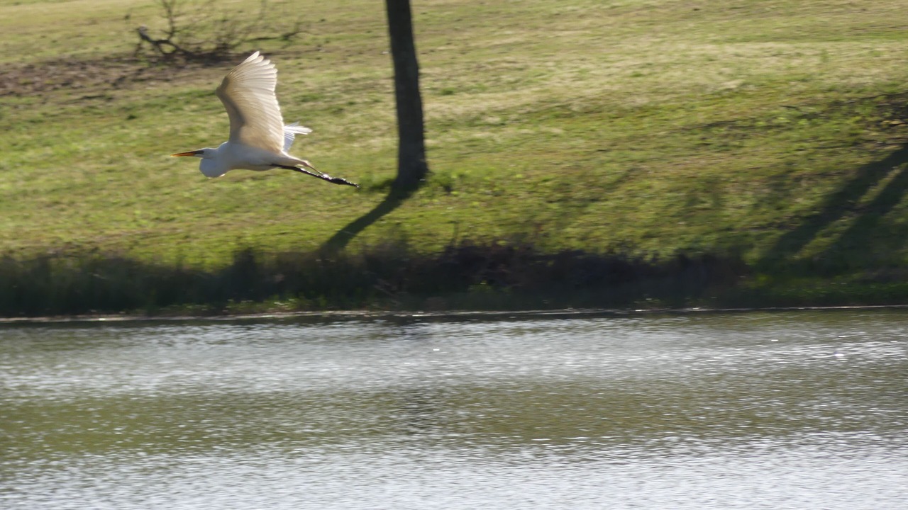 Photo of Outdoor in Rusk
