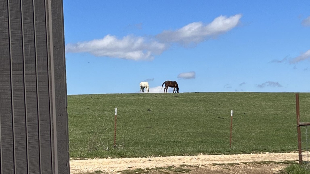 Photo of Others in Harrison