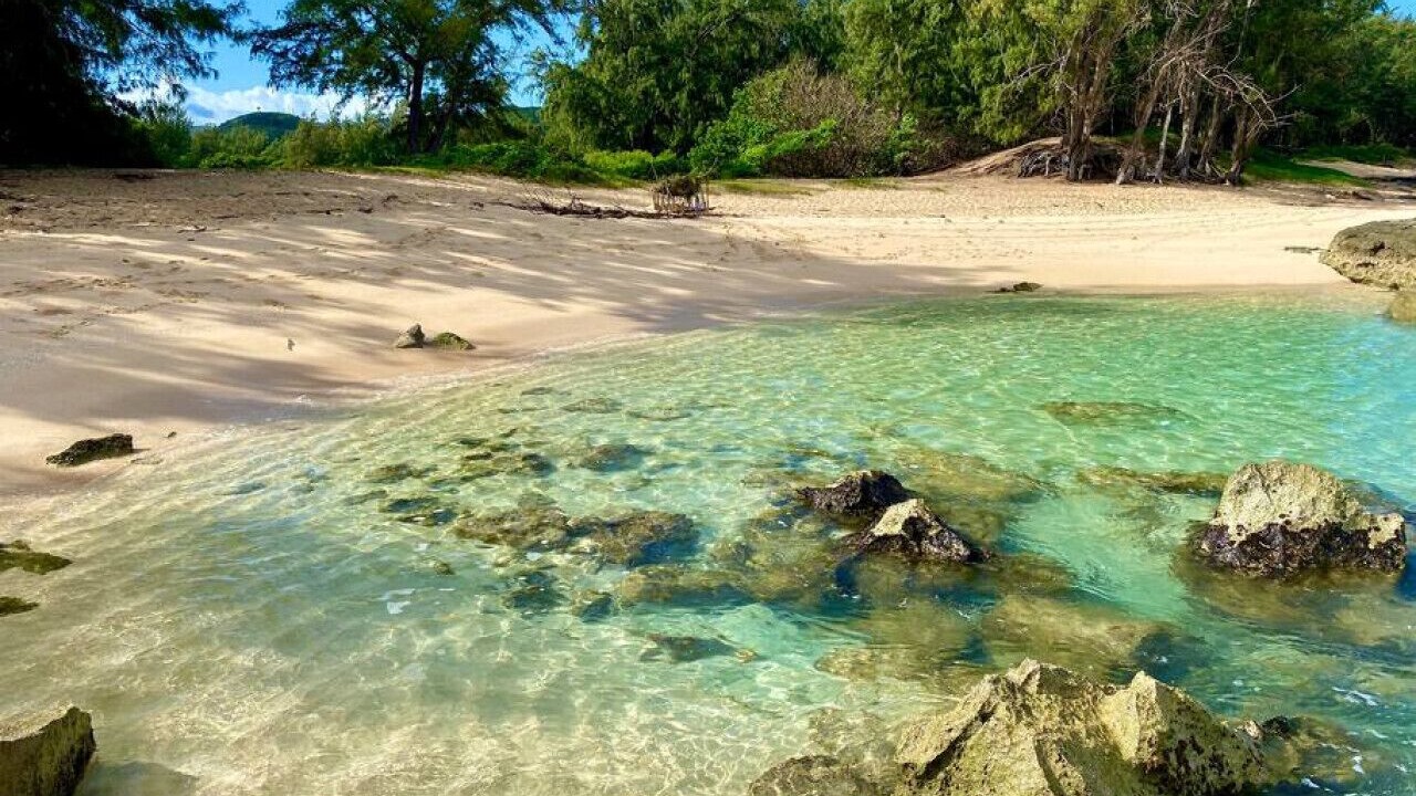 Photo of Others in Kahuku