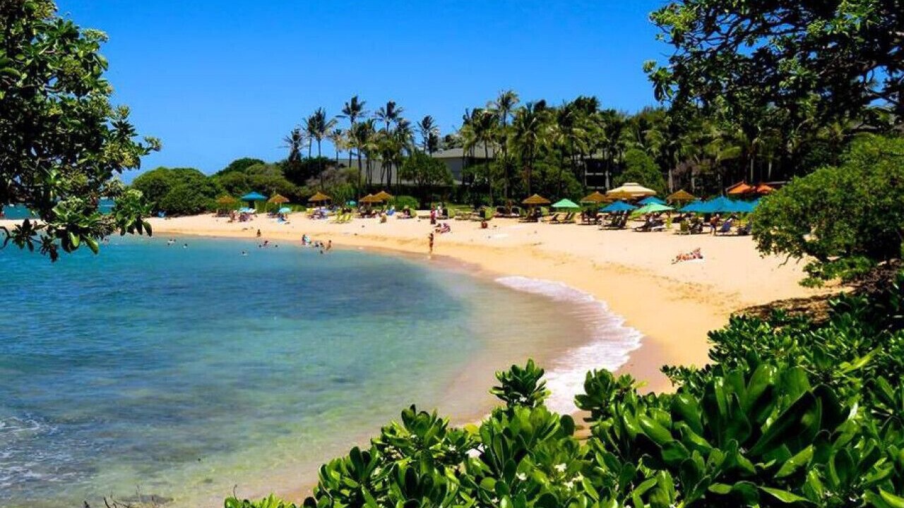 Photo of Others in Kahuku