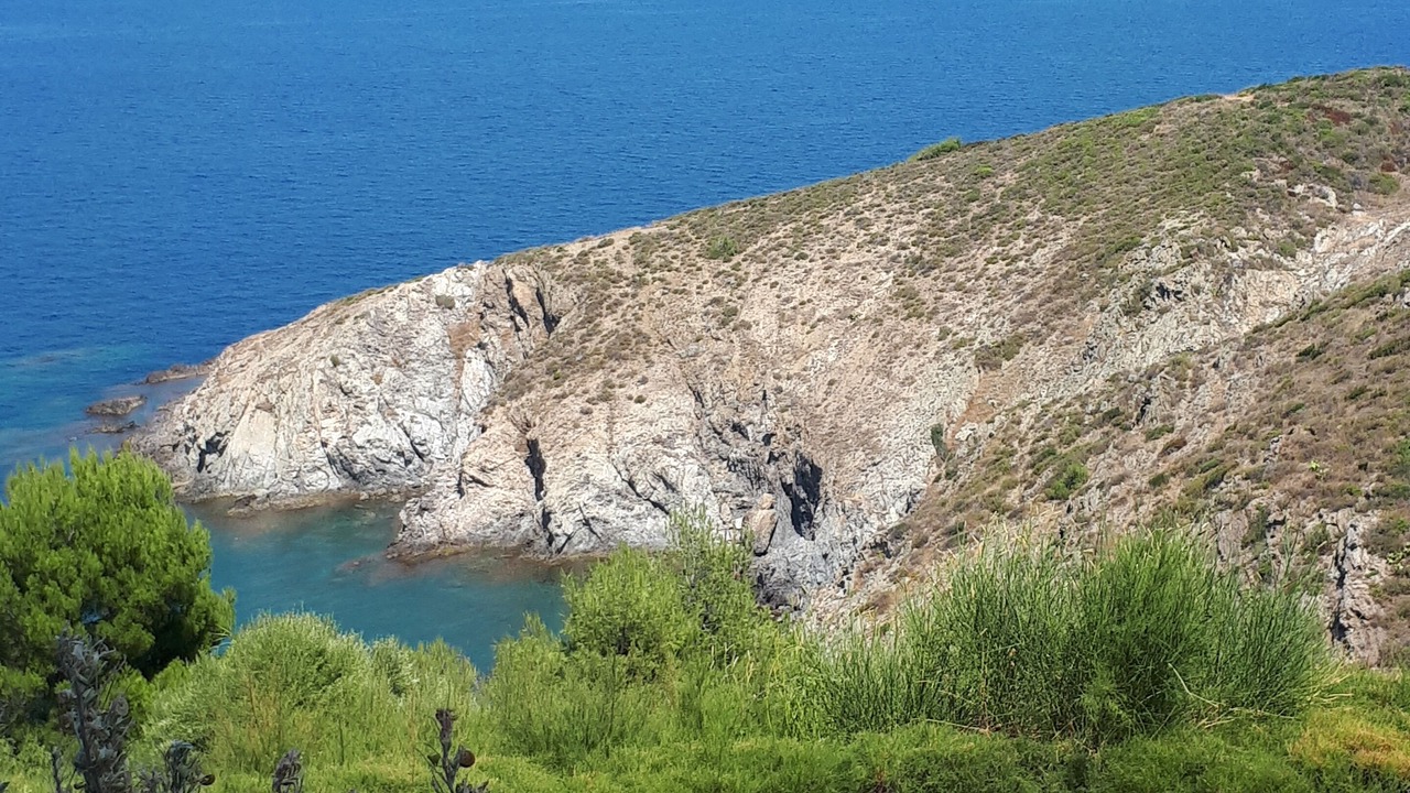 Photo of Others in Banyuls-sur-Mer