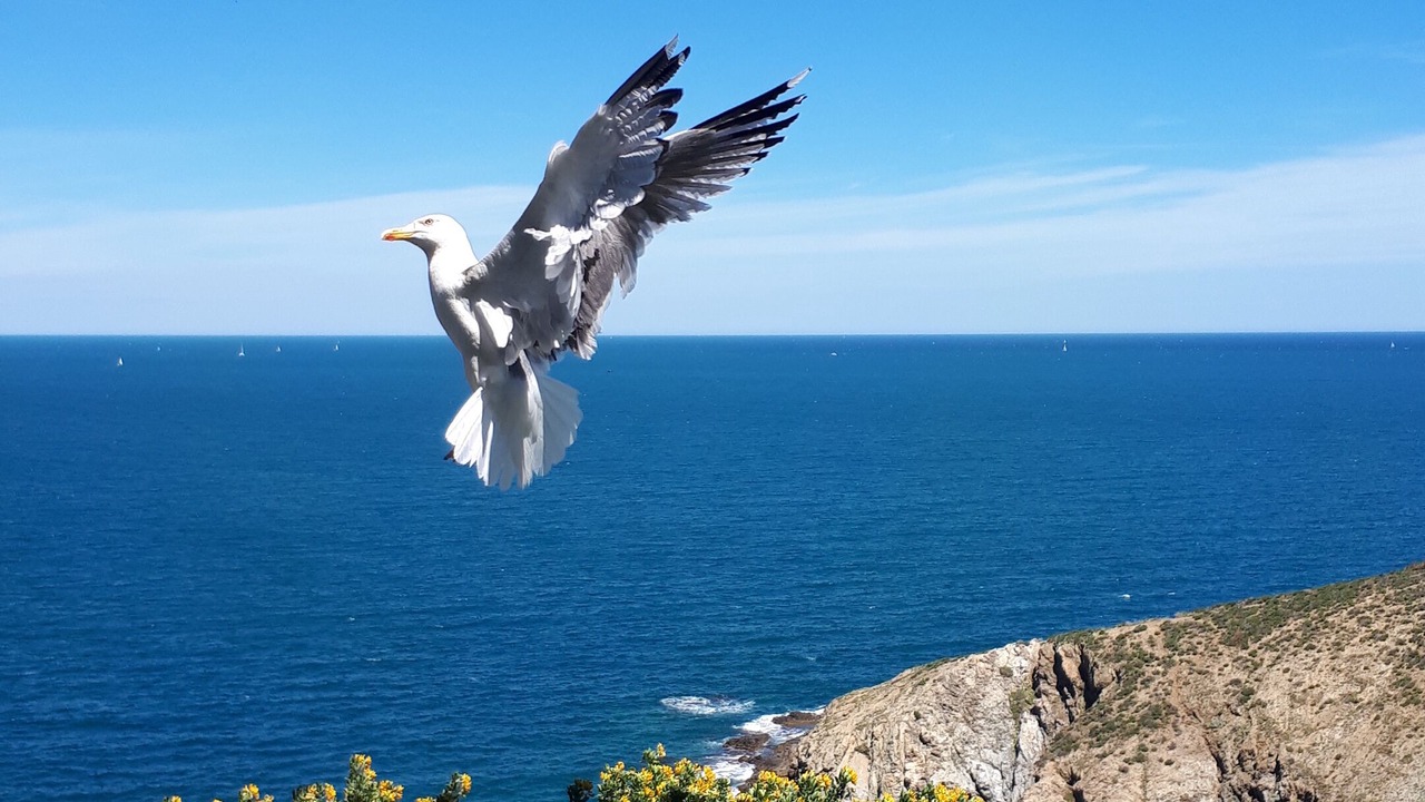 Photo of Outdoor in Banyuls-sur-Mer