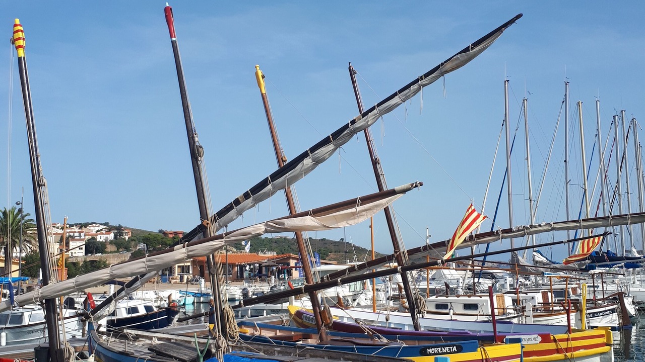 Photo of Others in Banyuls-sur-Mer