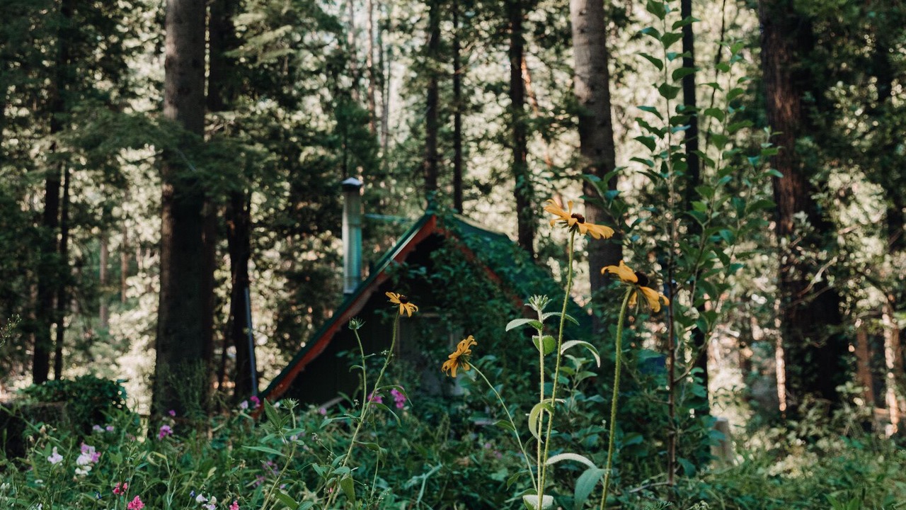 Photo of Outdoor in Kyburz