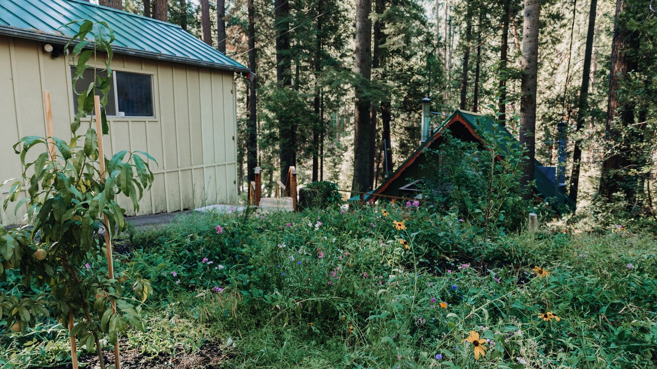 Photo of Outdoor in Kyburz