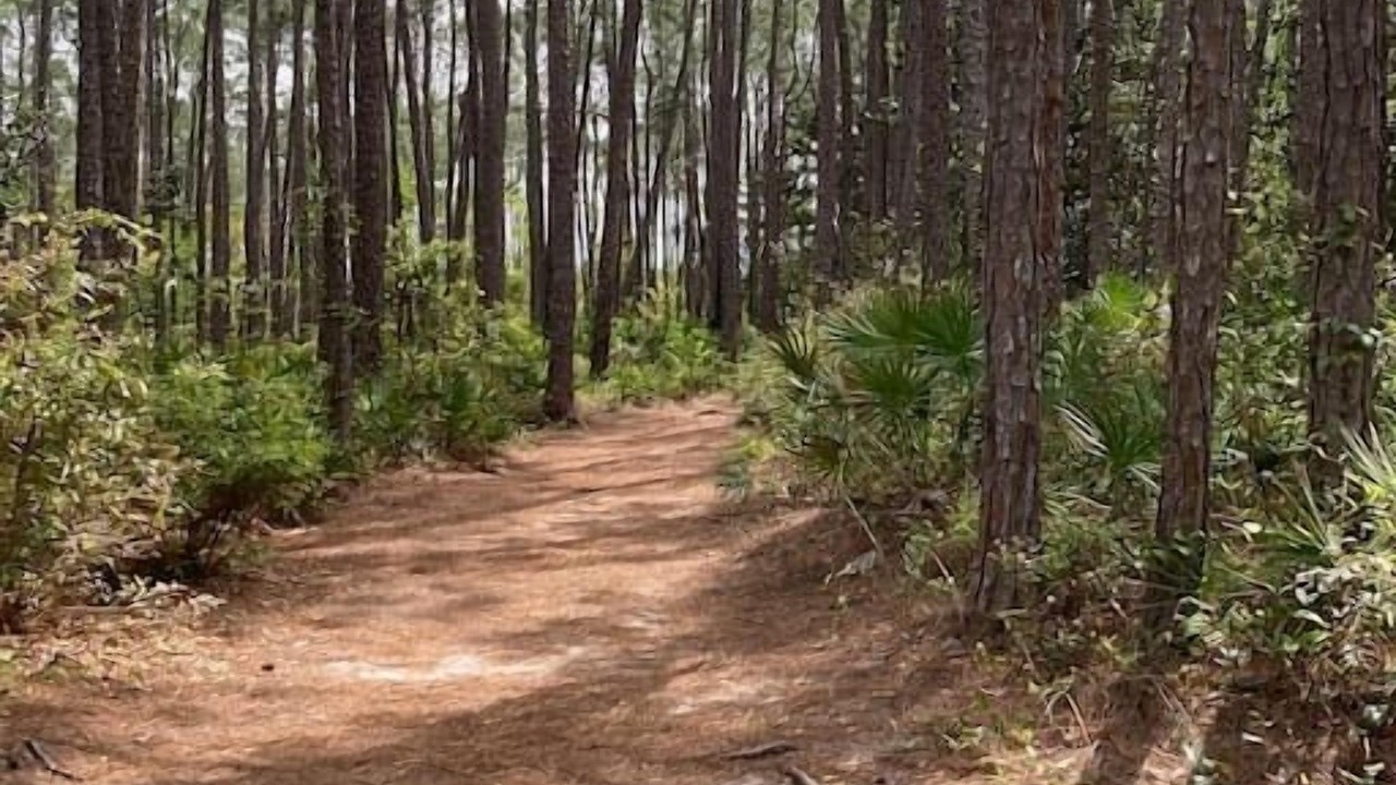 Photo of Outdoor in Bella Vista