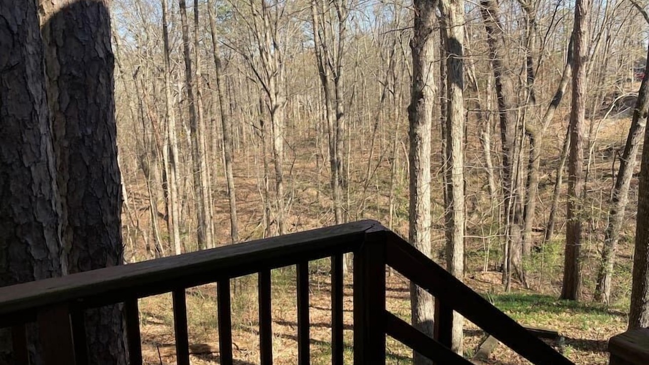 Photo of Outdoor in Bella Vista