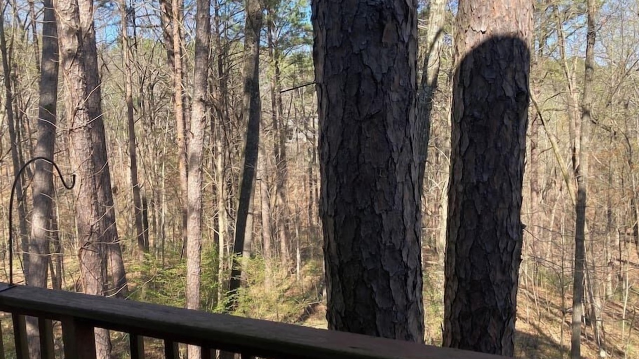 Photo of Outdoor in Bella Vista