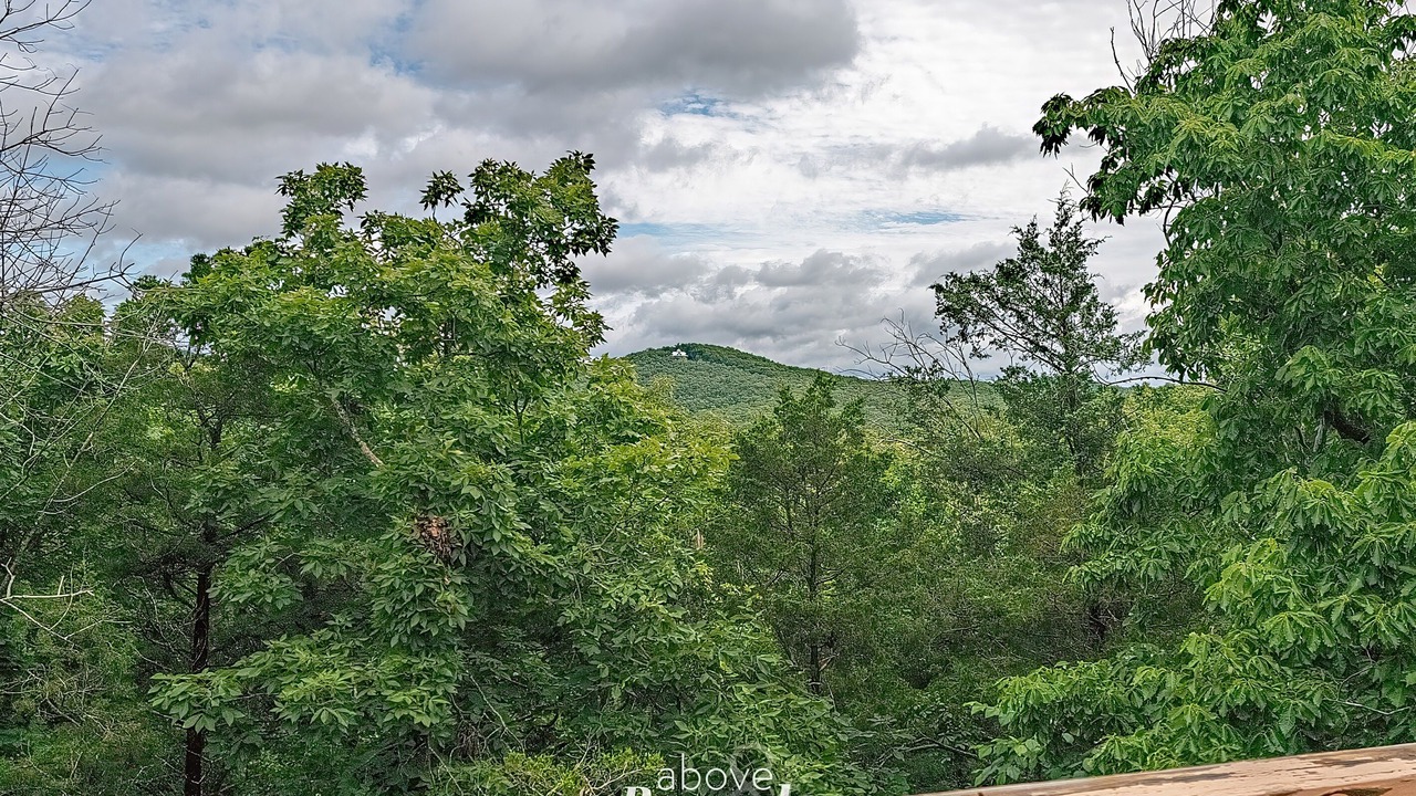 Photo of Others in Branson
