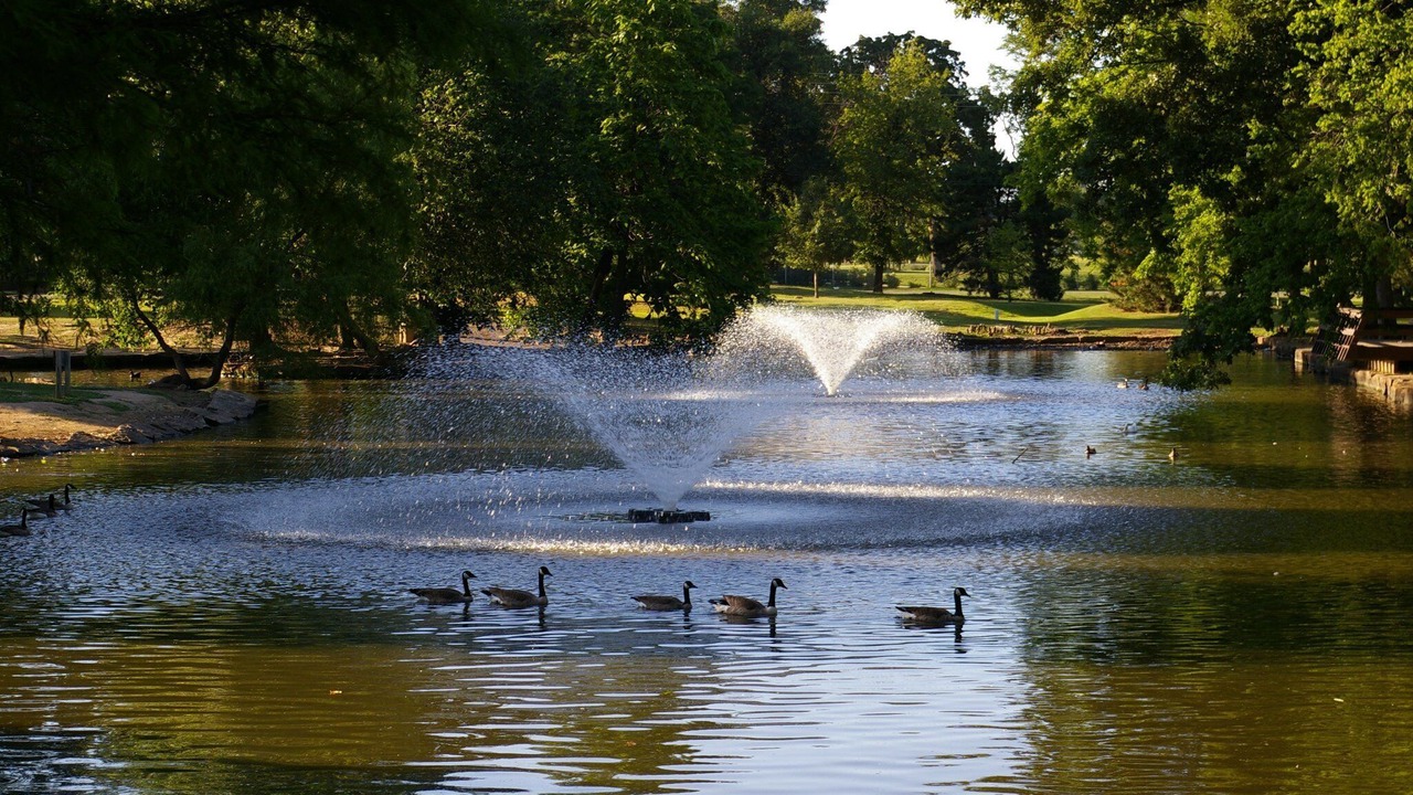 Photo of Others in Tulsa