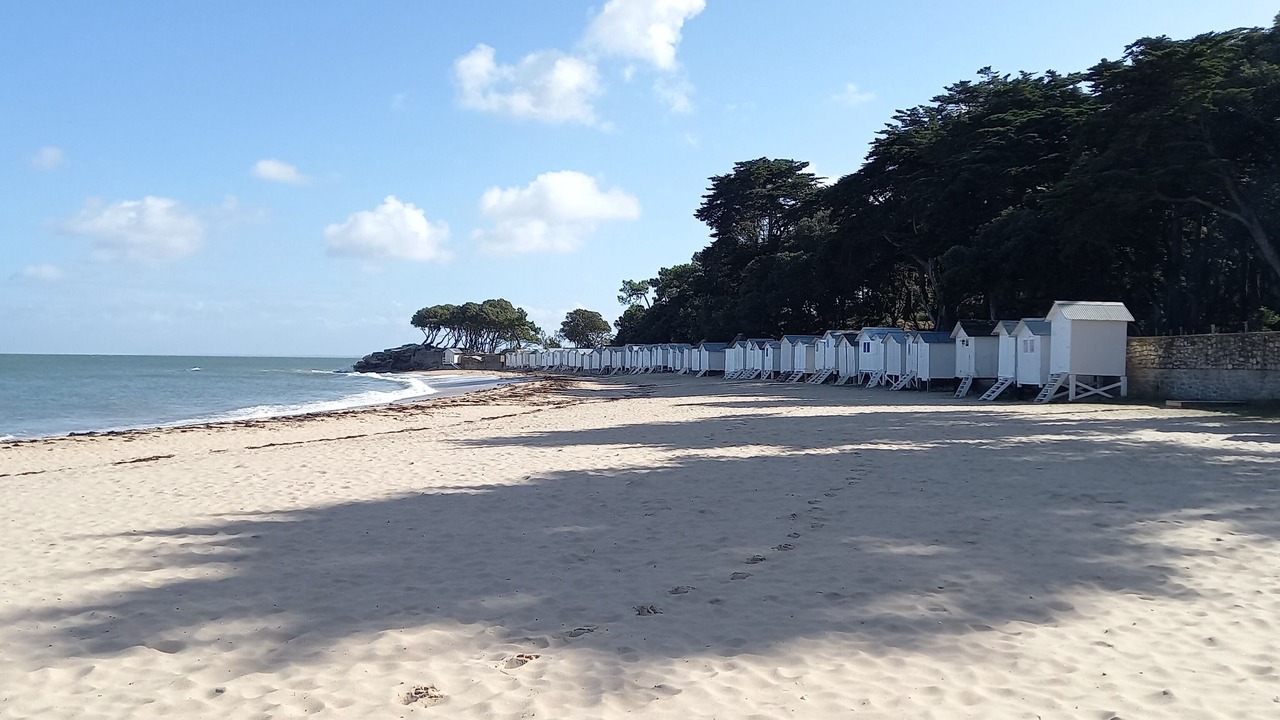 Photo of Others in Barbatre