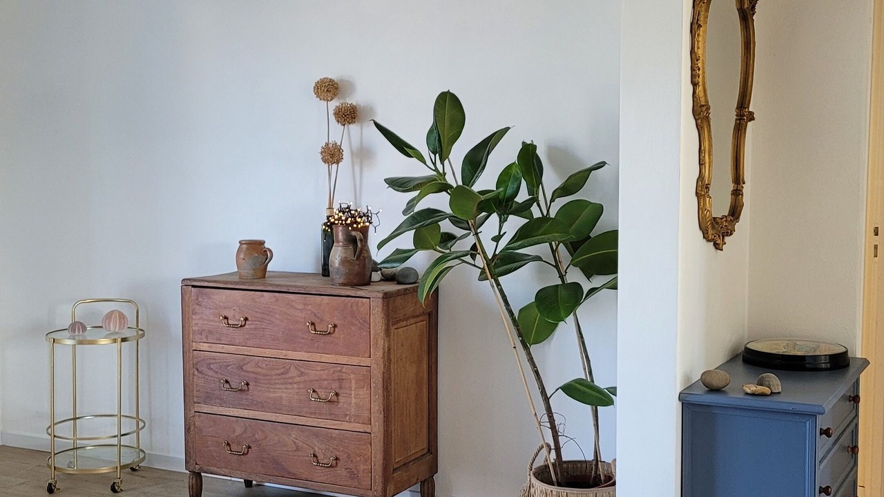 Photo of Others in Barbatre