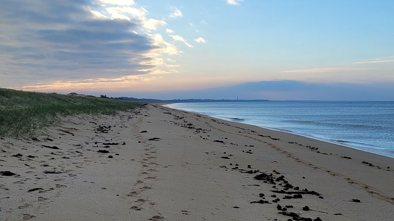 Photo of Others in Barbatre