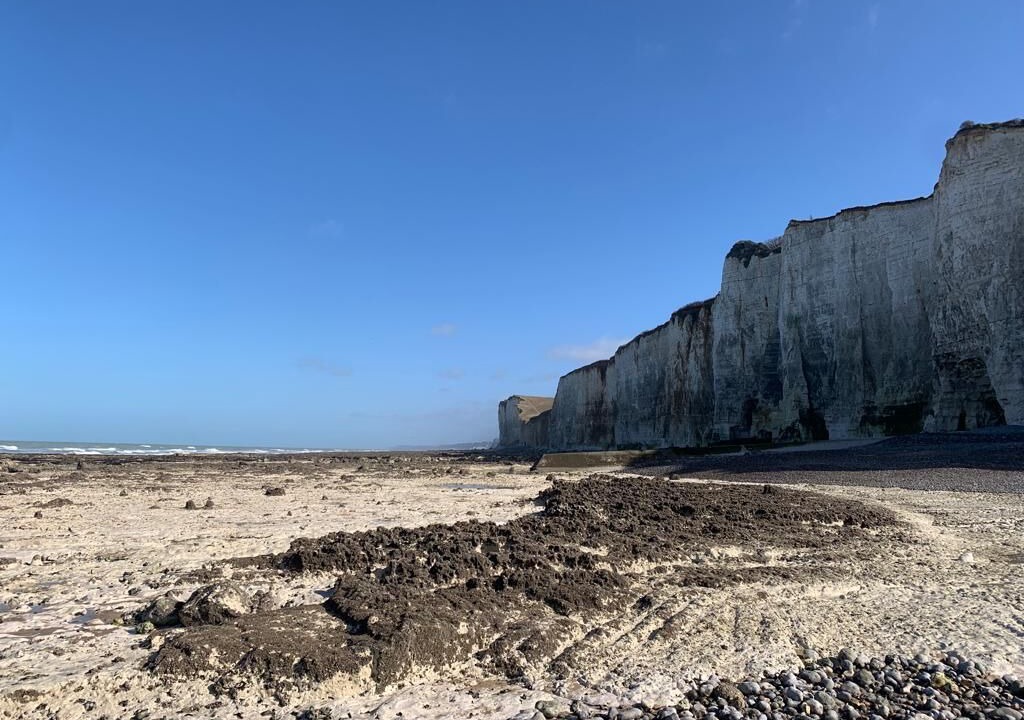 Photo of Others in Dieppe