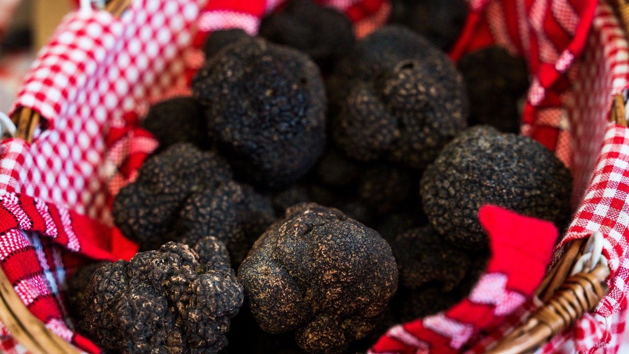 Photo of Others in Senaillac-Lauzes