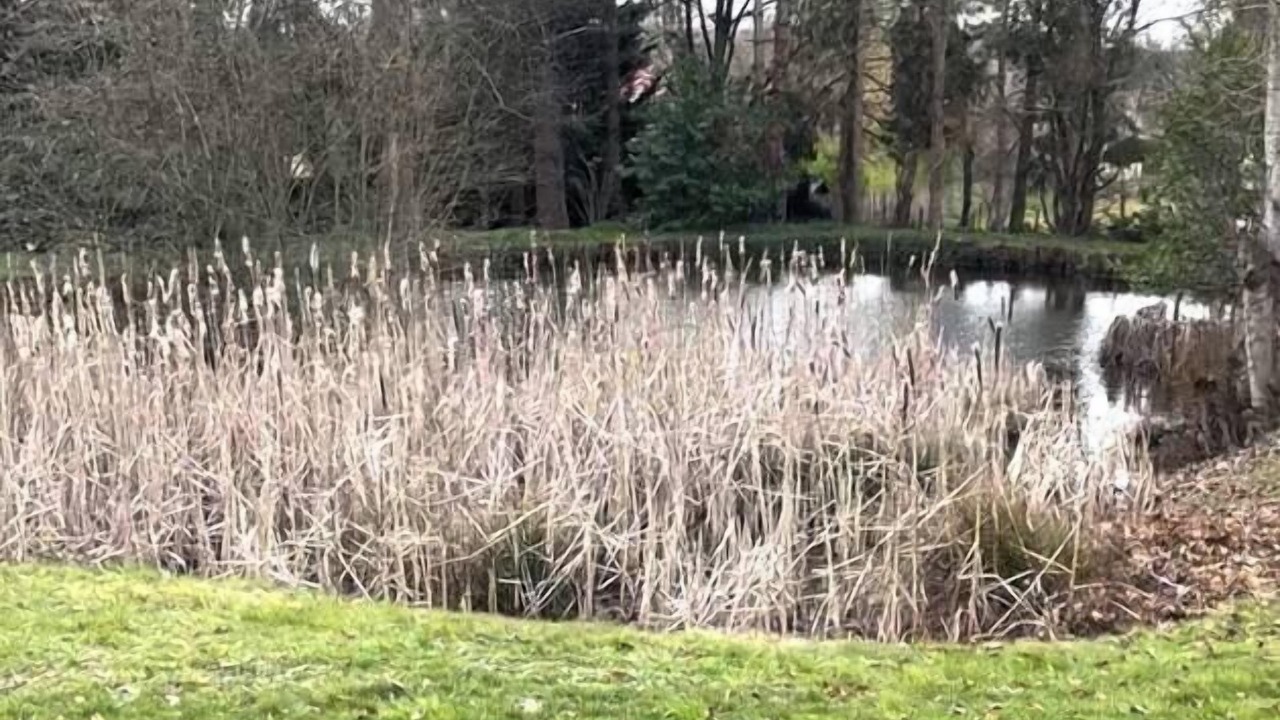 Photo of Others in Montrieux-en-Sologne