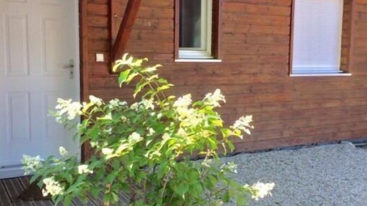 Photo of Outdoor in Sanguinet