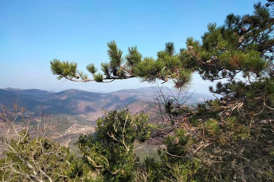 Photo of Others in Saint-Priest