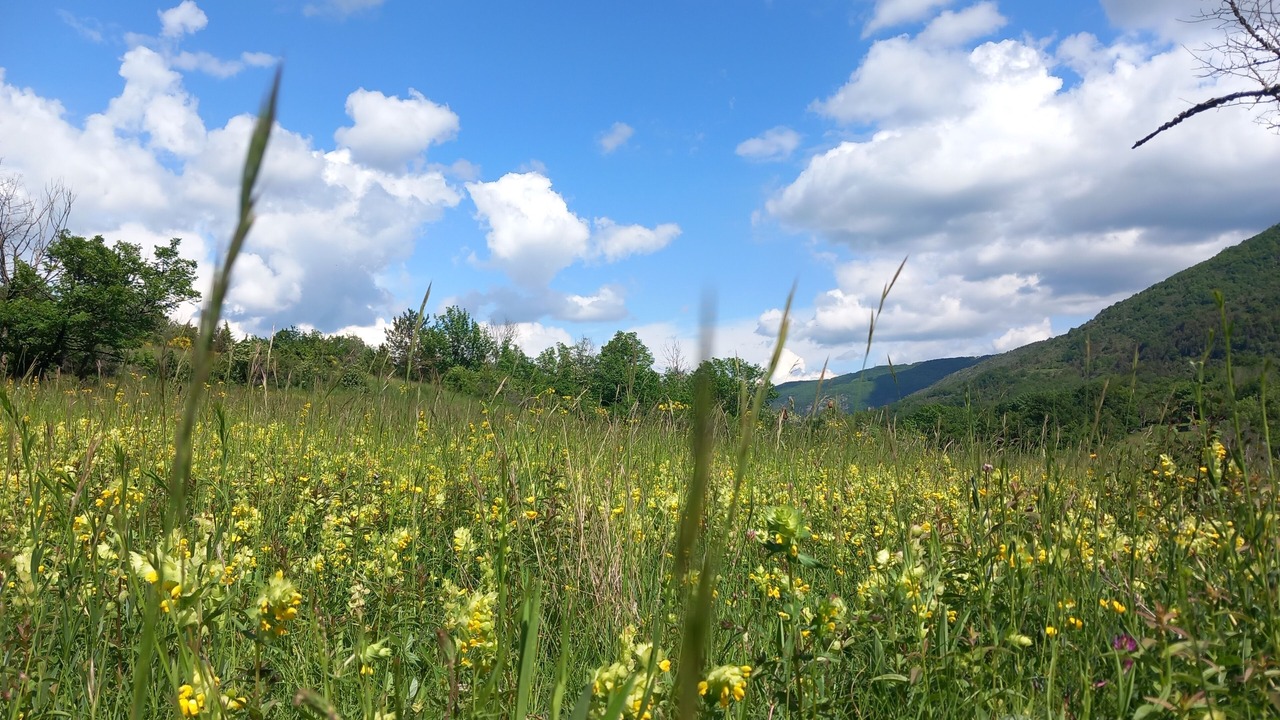 Photo of Outdoor in Saint-Priest