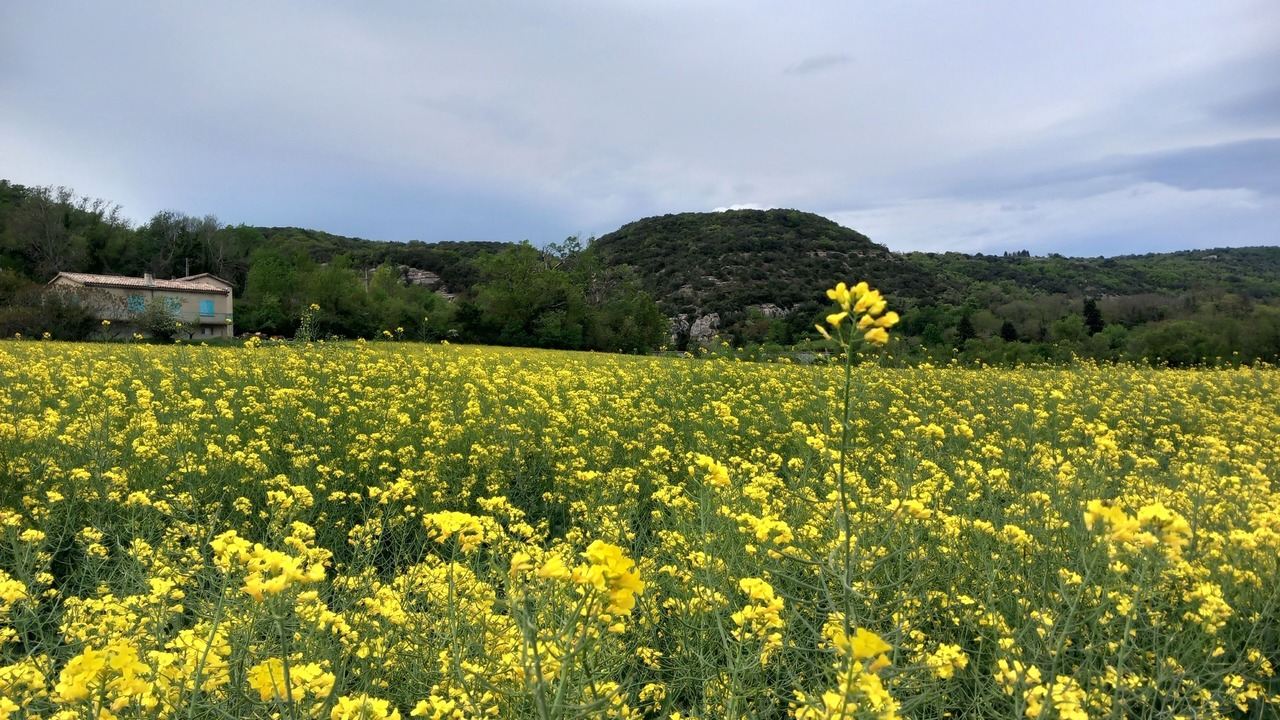 Photo of Outdoor in Saint-Priest