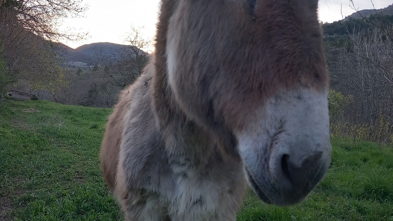 Photo of Others in Saint-Priest