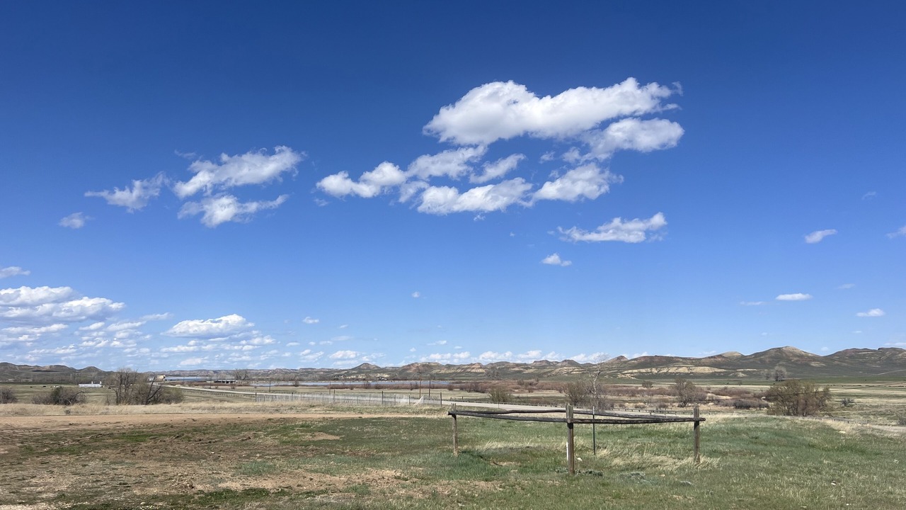 Photo of Others in Buffalo