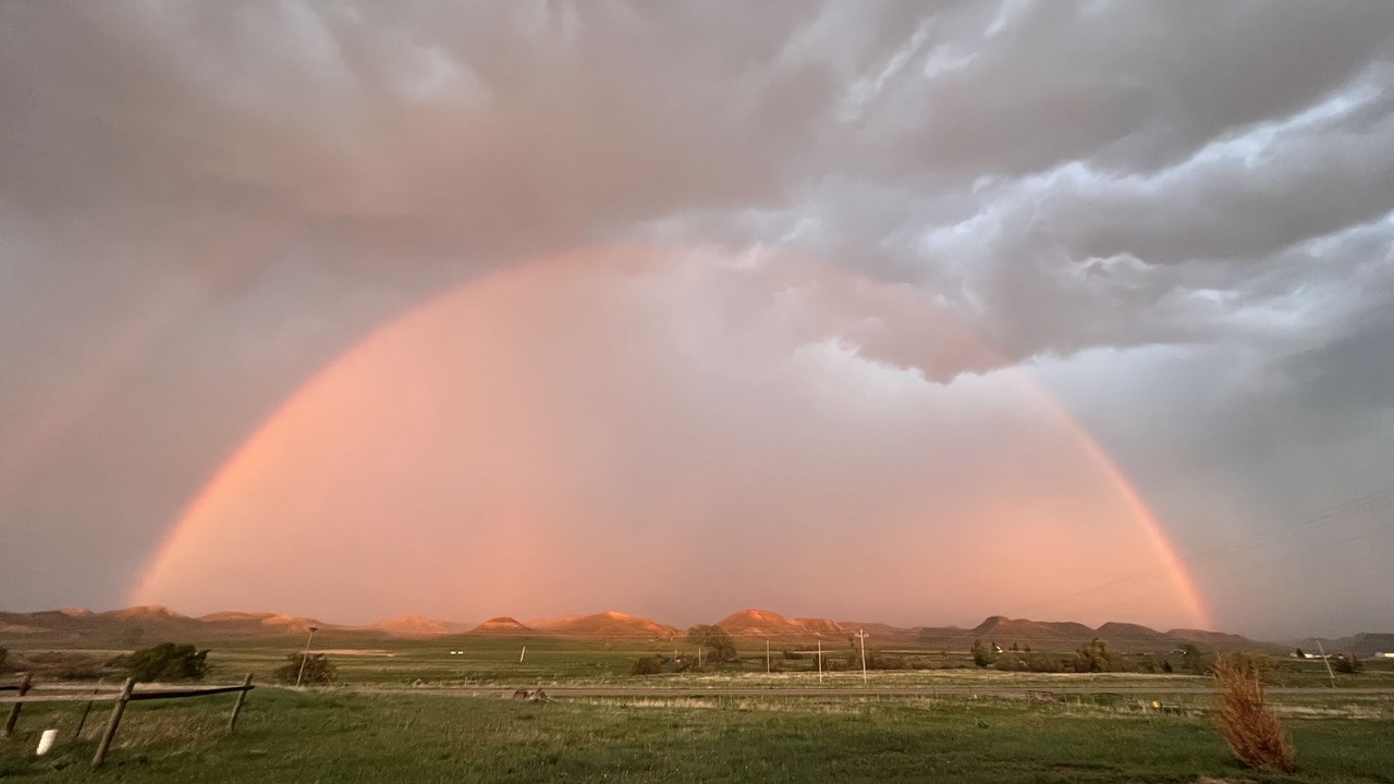 Photo of Others in Buffalo