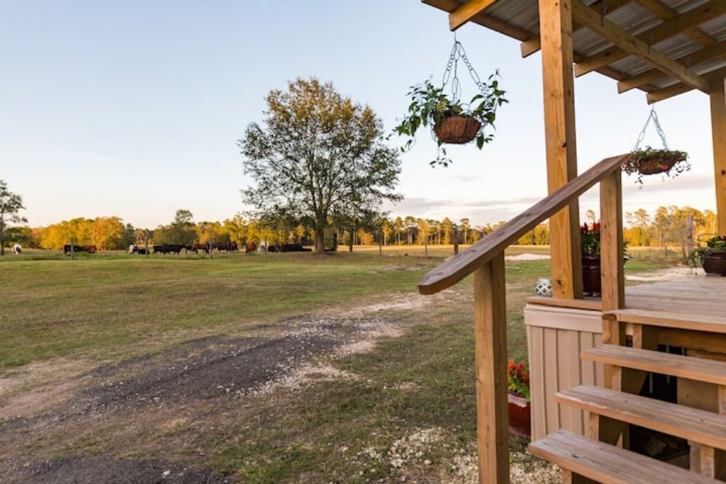 Photo of Outdoor in Voth
