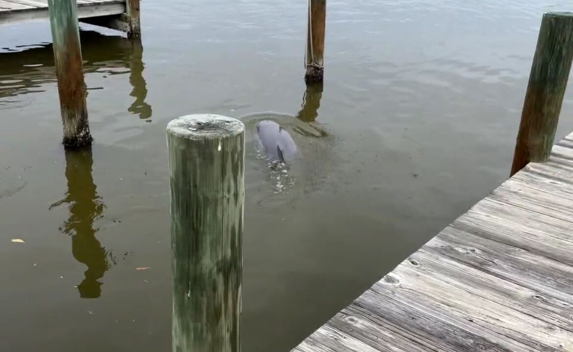 Photo of Outdoor in Cocoa Beach