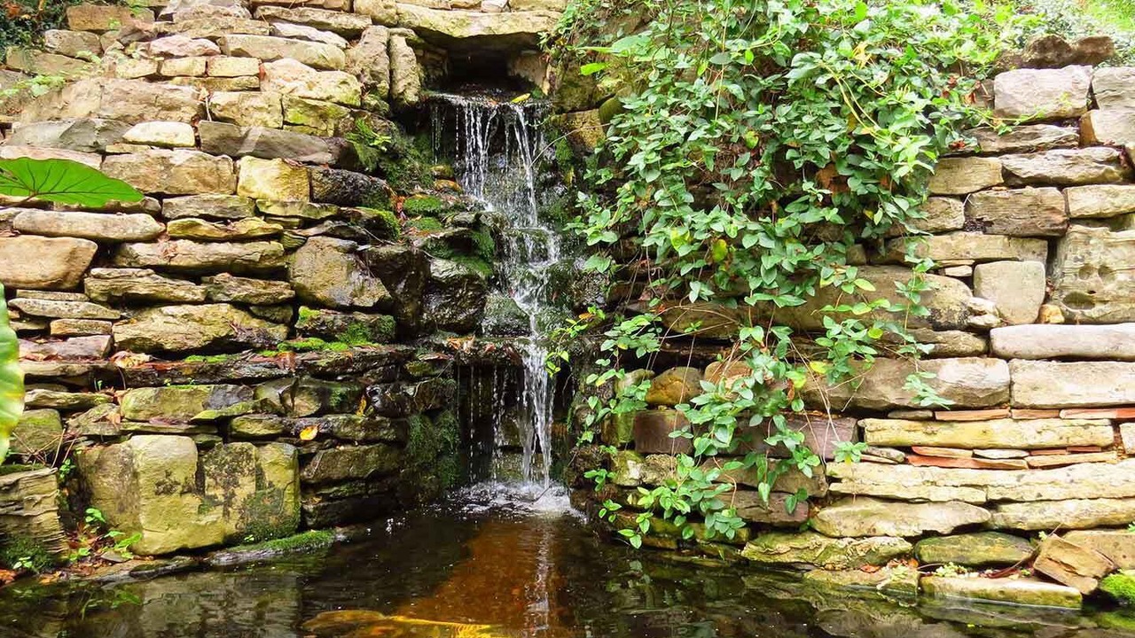 Photo of Outdoor in Eureka Springs Historic District