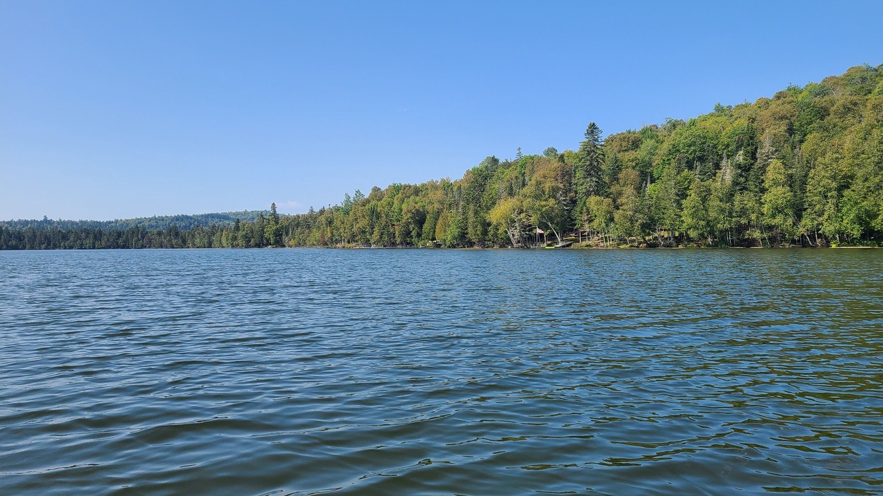 Photo of Others in Rangeley