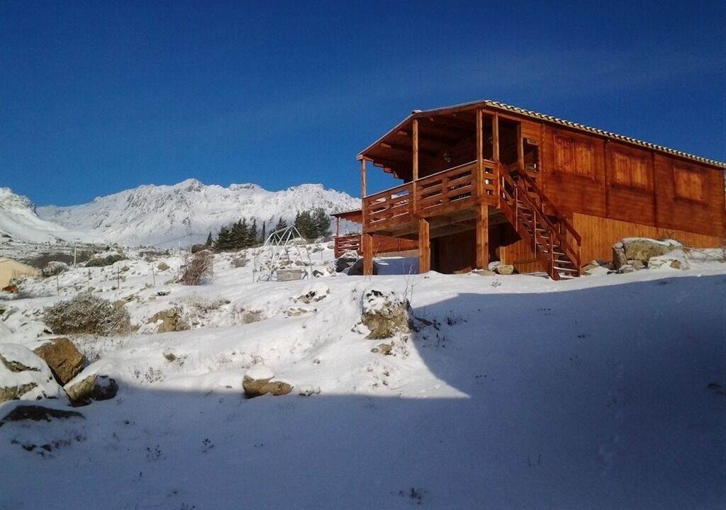 Photo of Outdoor in Lozzi