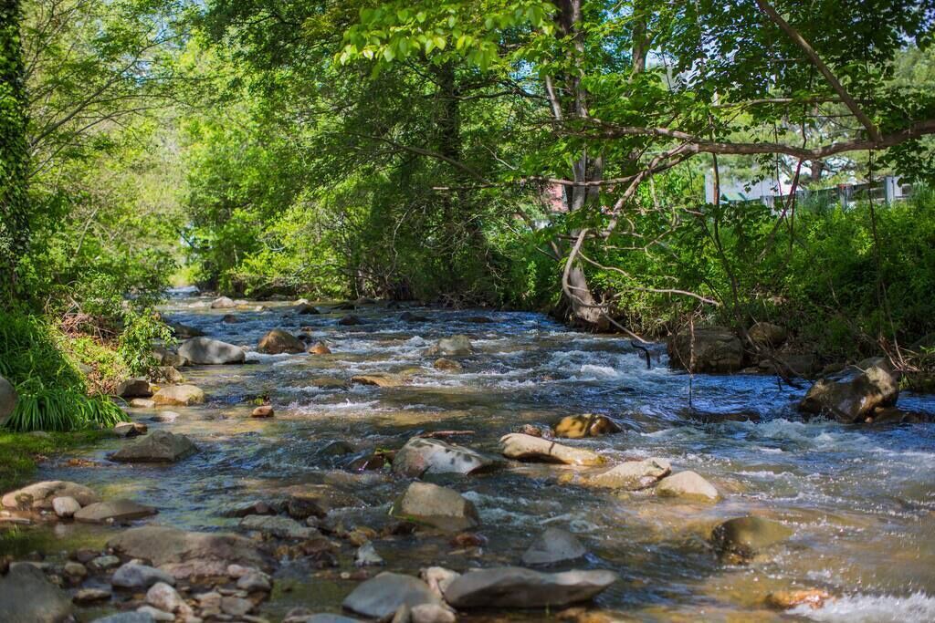 Photo of Outdoor in Sperryville
