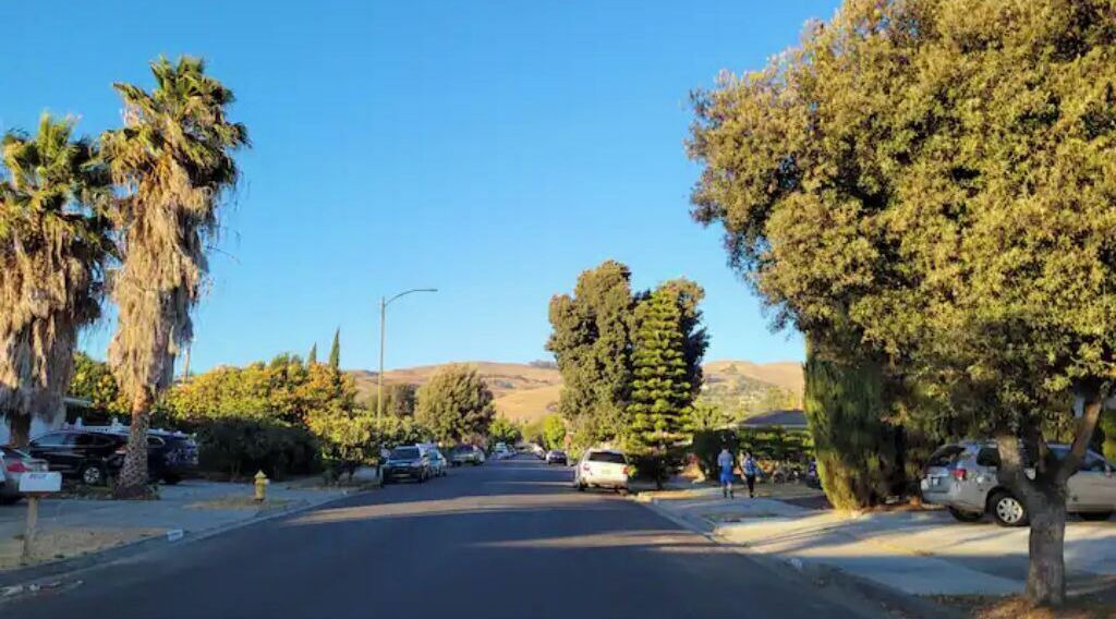 Photo of Others in Berryessa