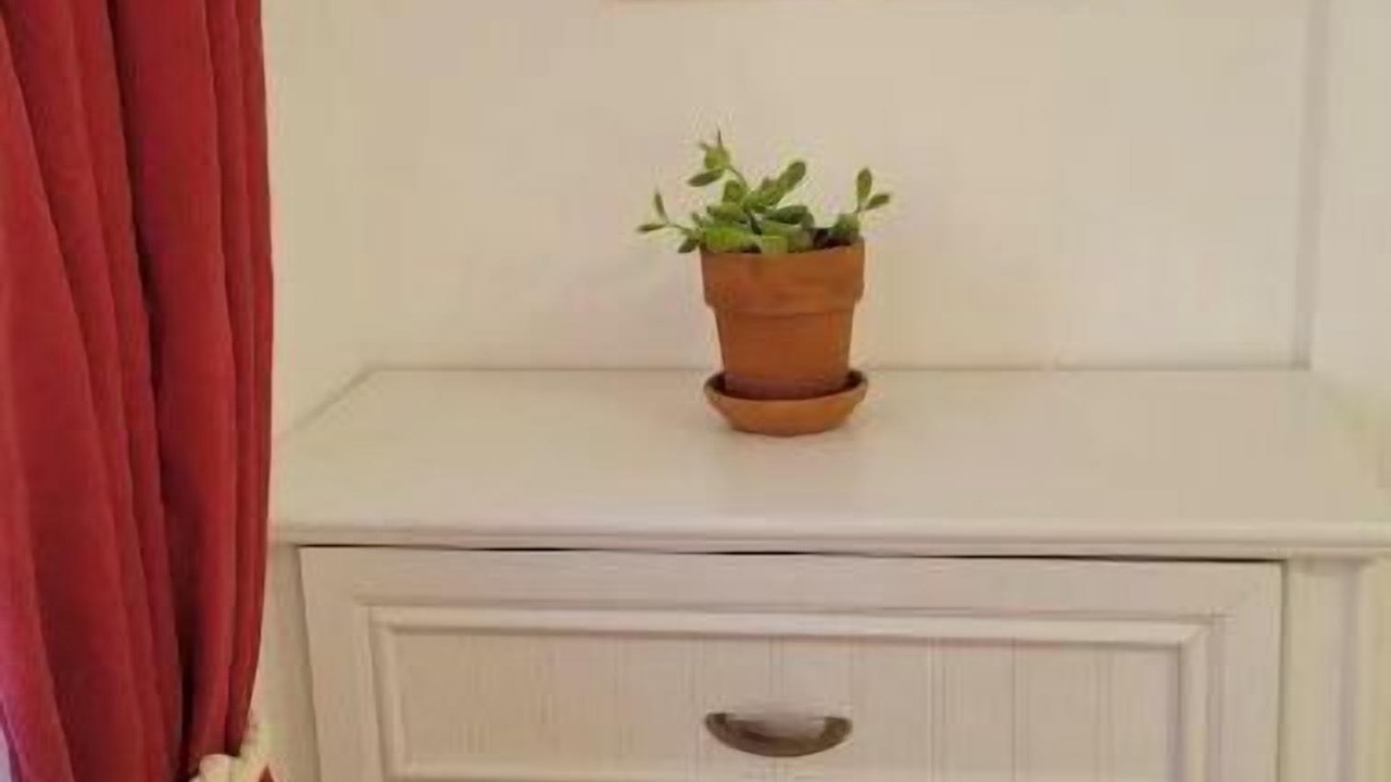 Photo of Others in Berryessa