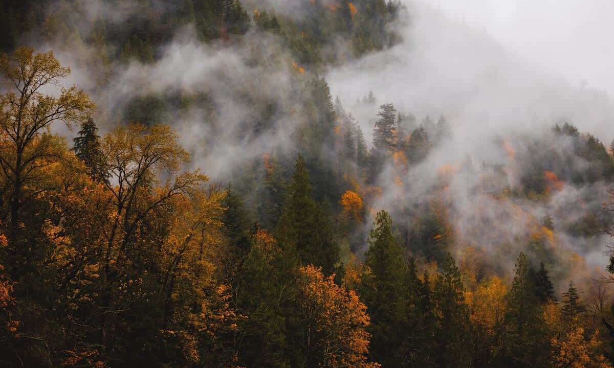 Photo of Others in Index