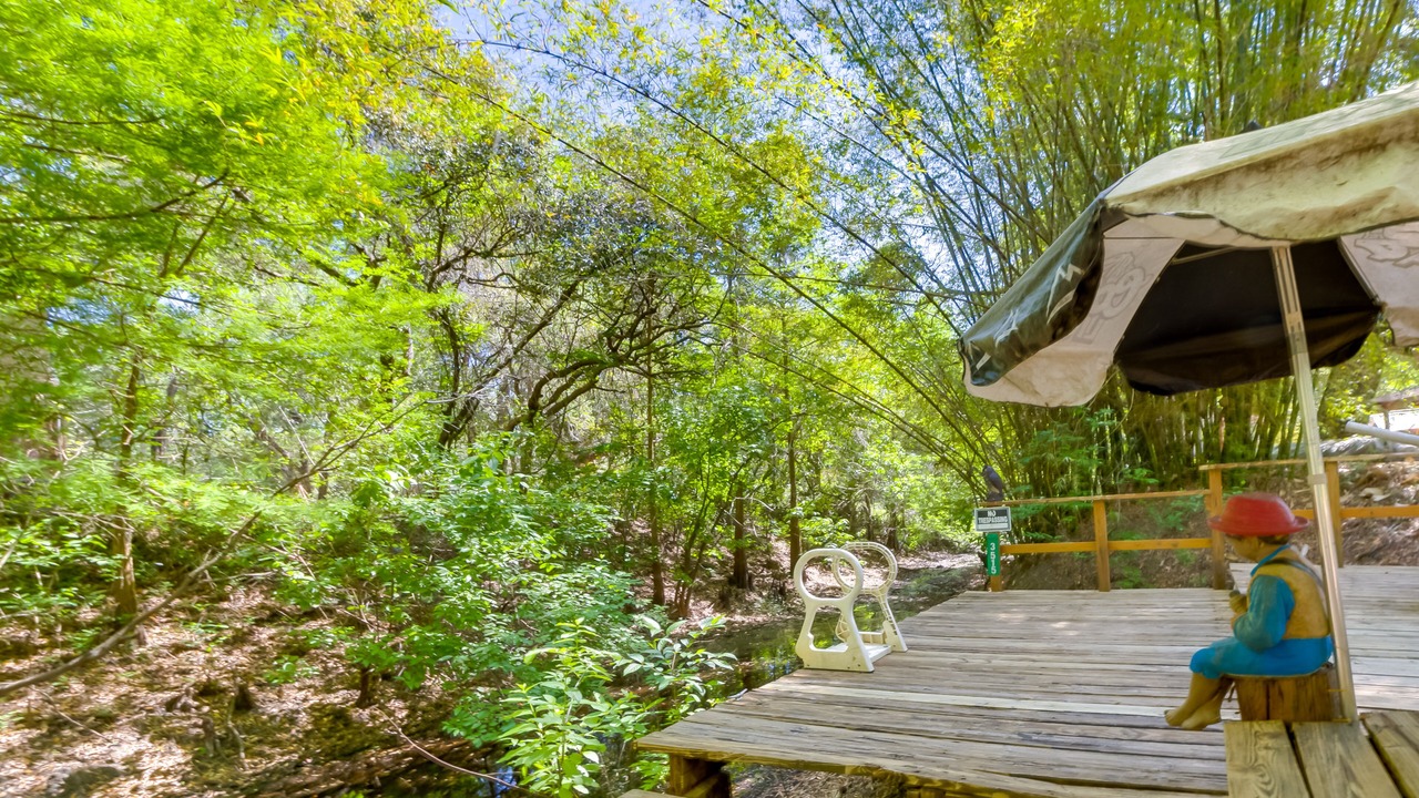Photo of Outdoor in Dunnellon