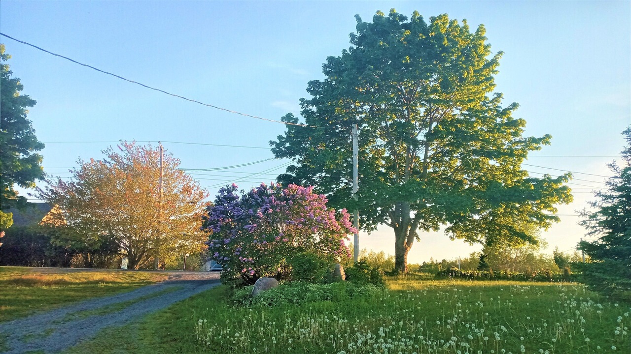 Photo of Others in Lunenburg