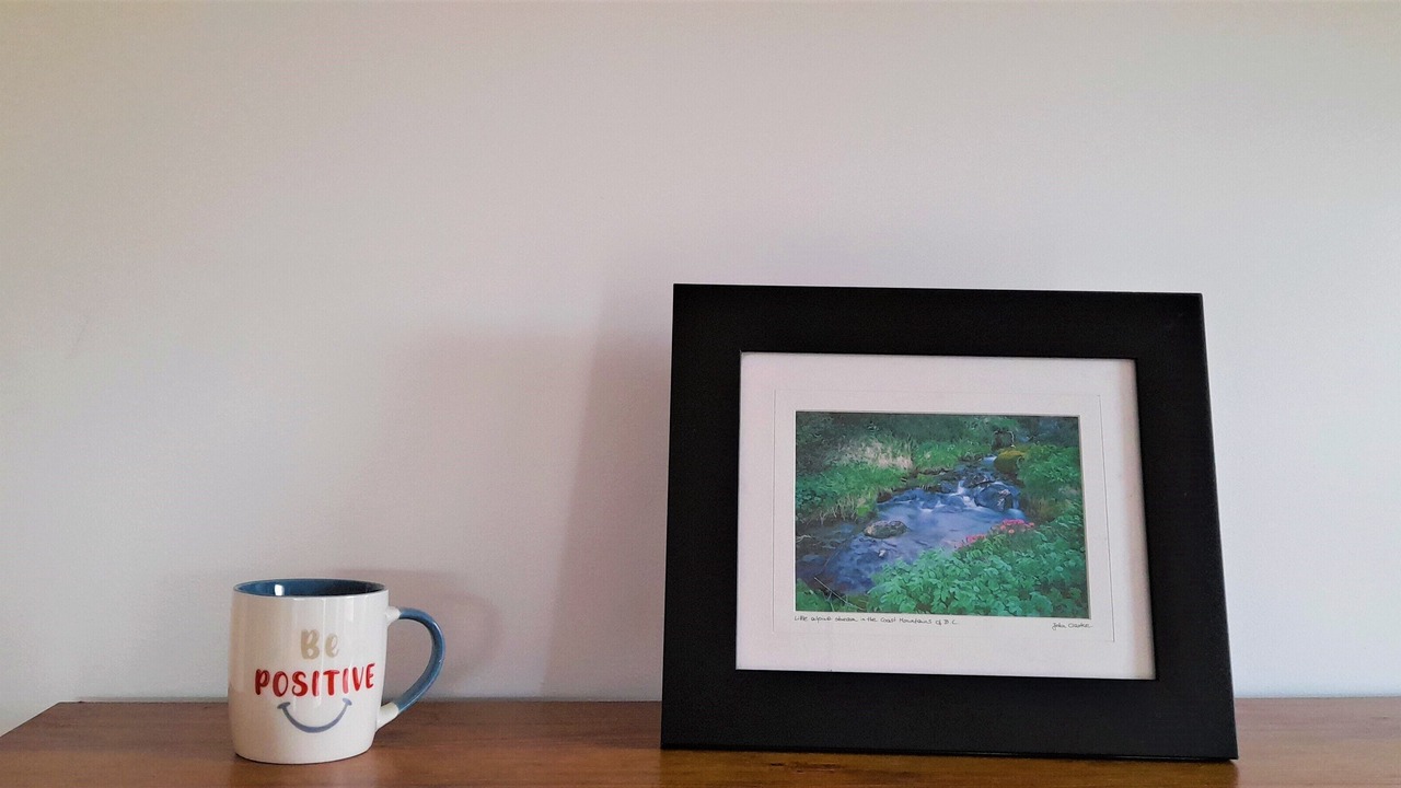 Photo of Others in Lunenburg