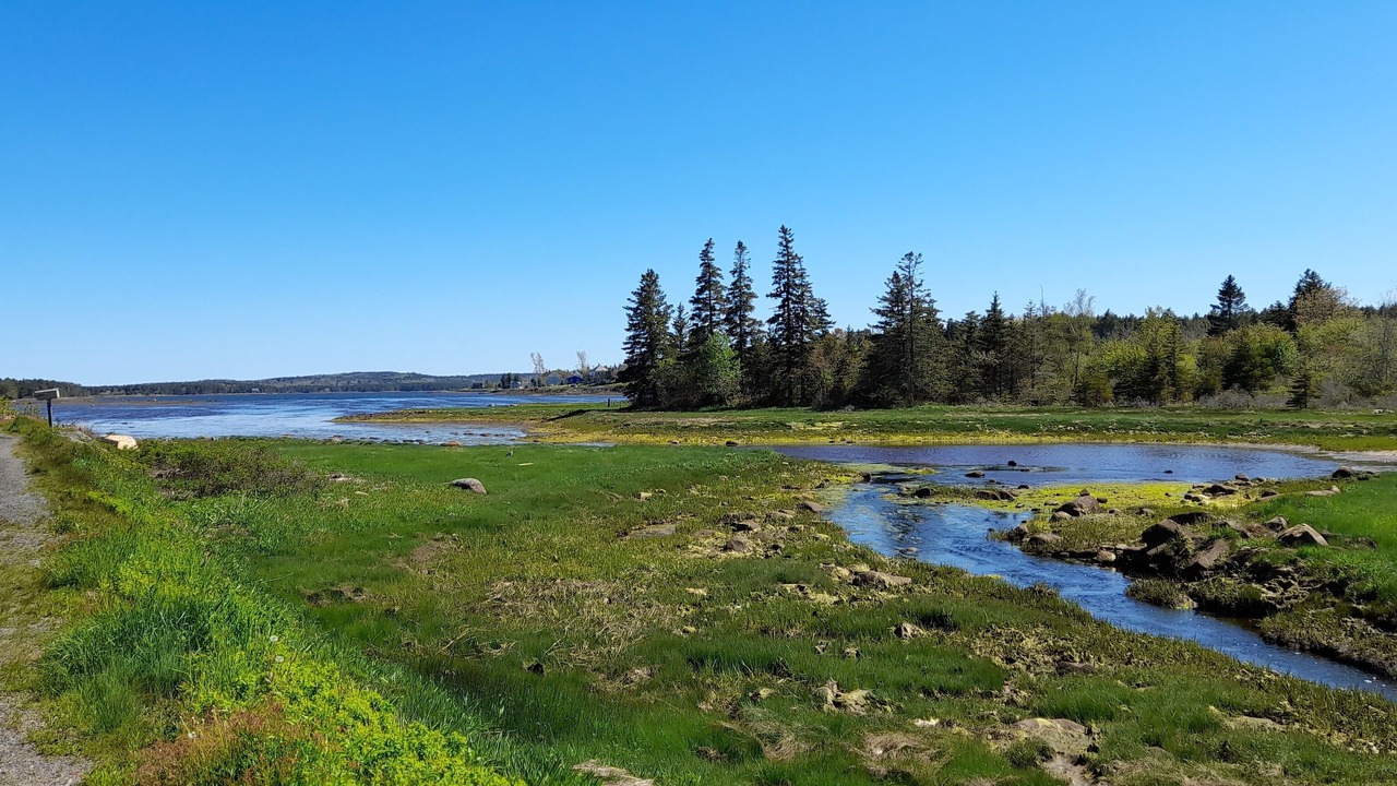 Photo of Others in Lunenburg