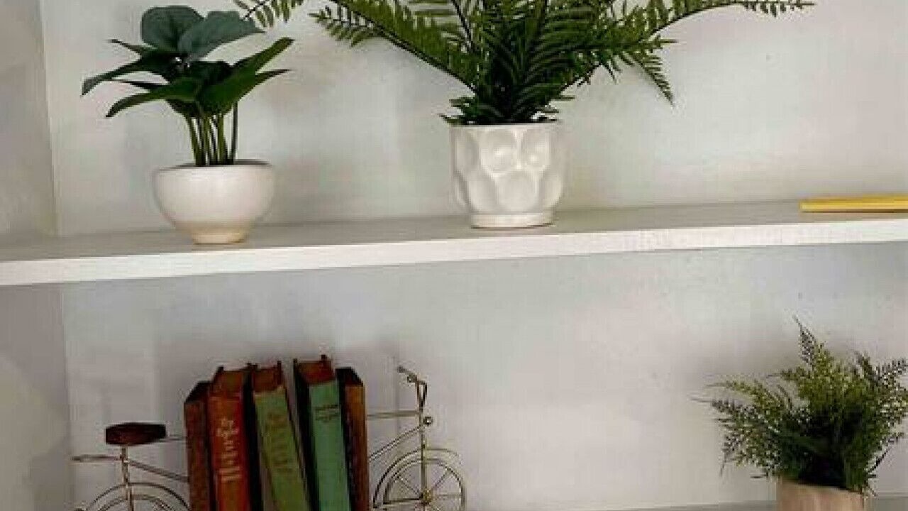 Photo of Others in Gadsden