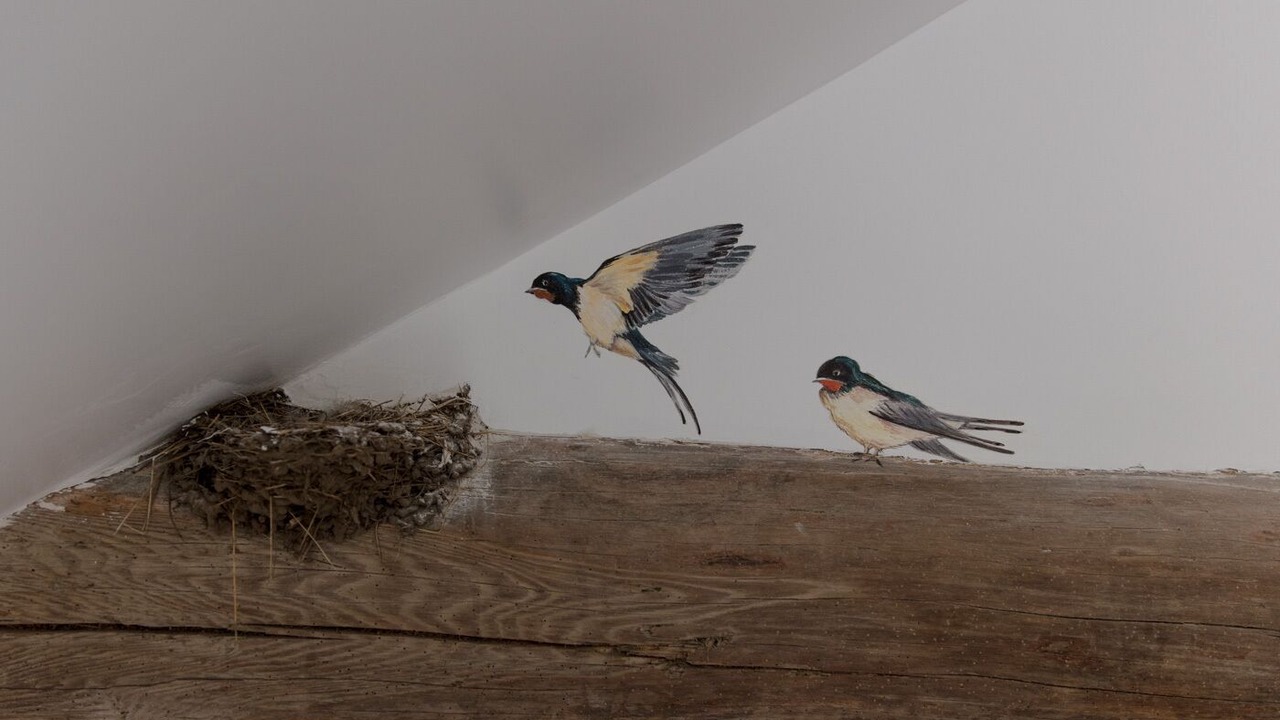 Photo of Others in Barizey