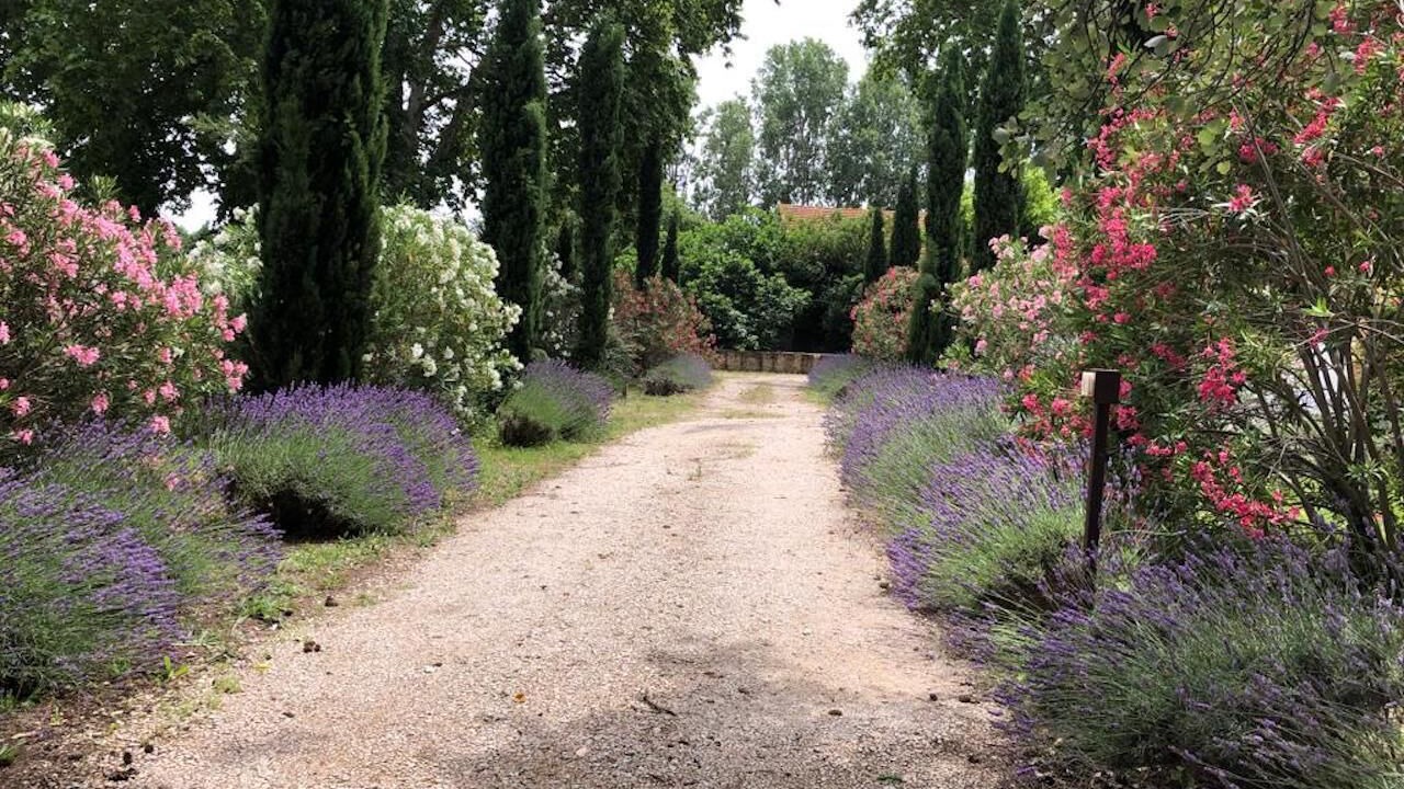 Photo of Outdoor in Sarrians