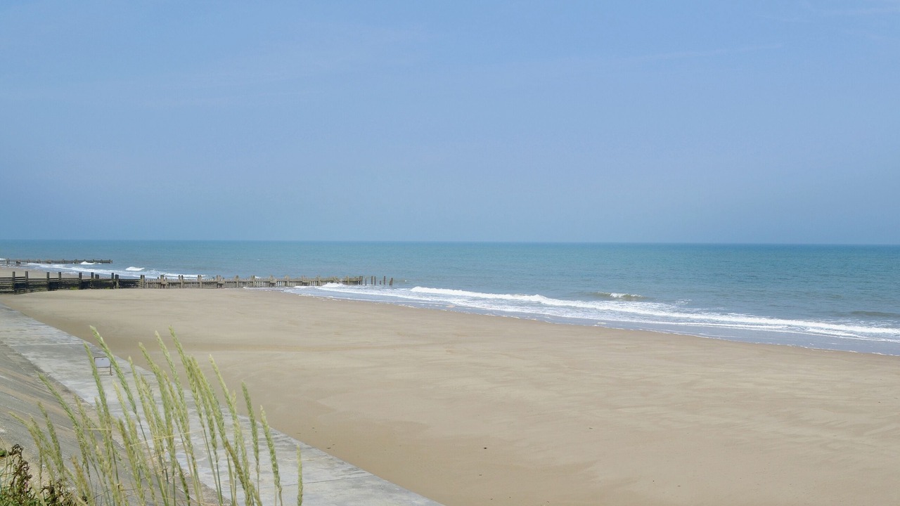 Photo of Others in Potter Heigham