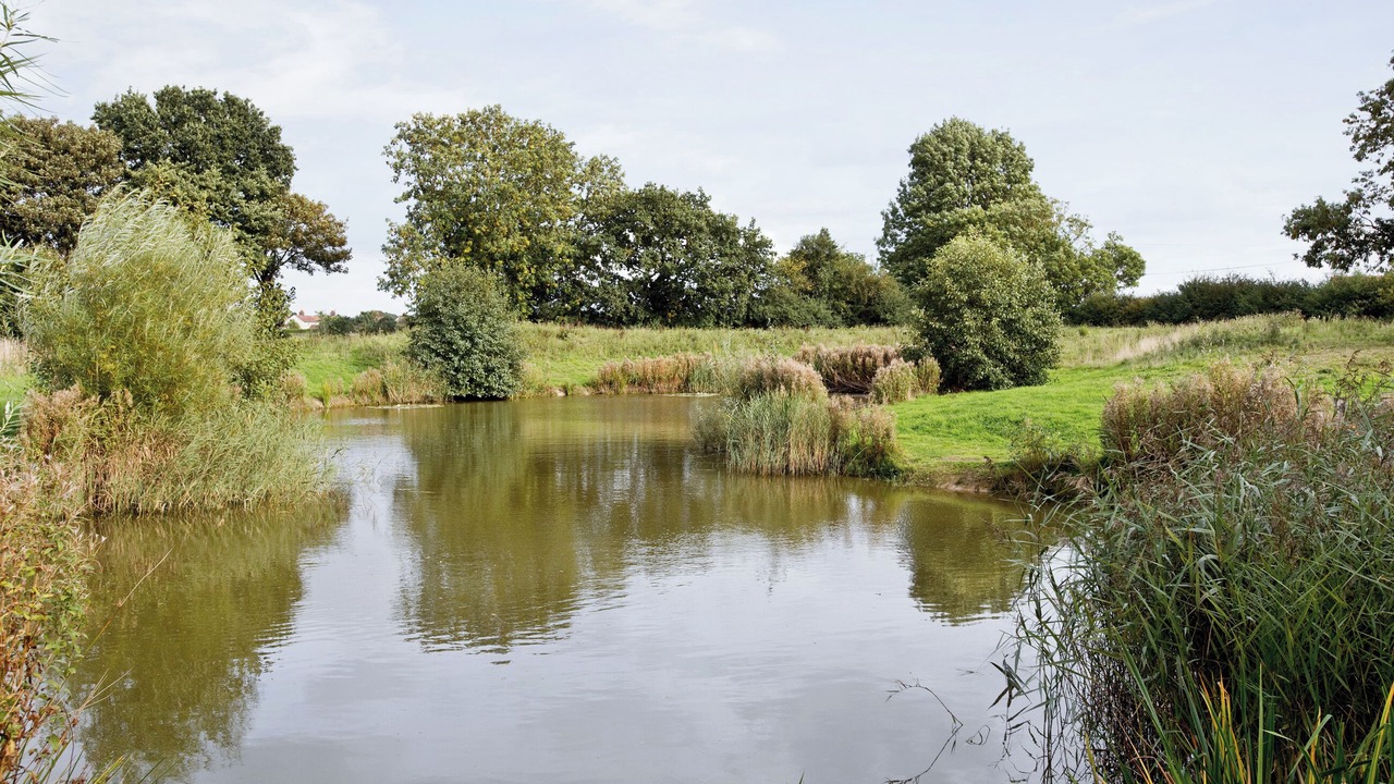 Photo of Outdoor in Potter Heigham
