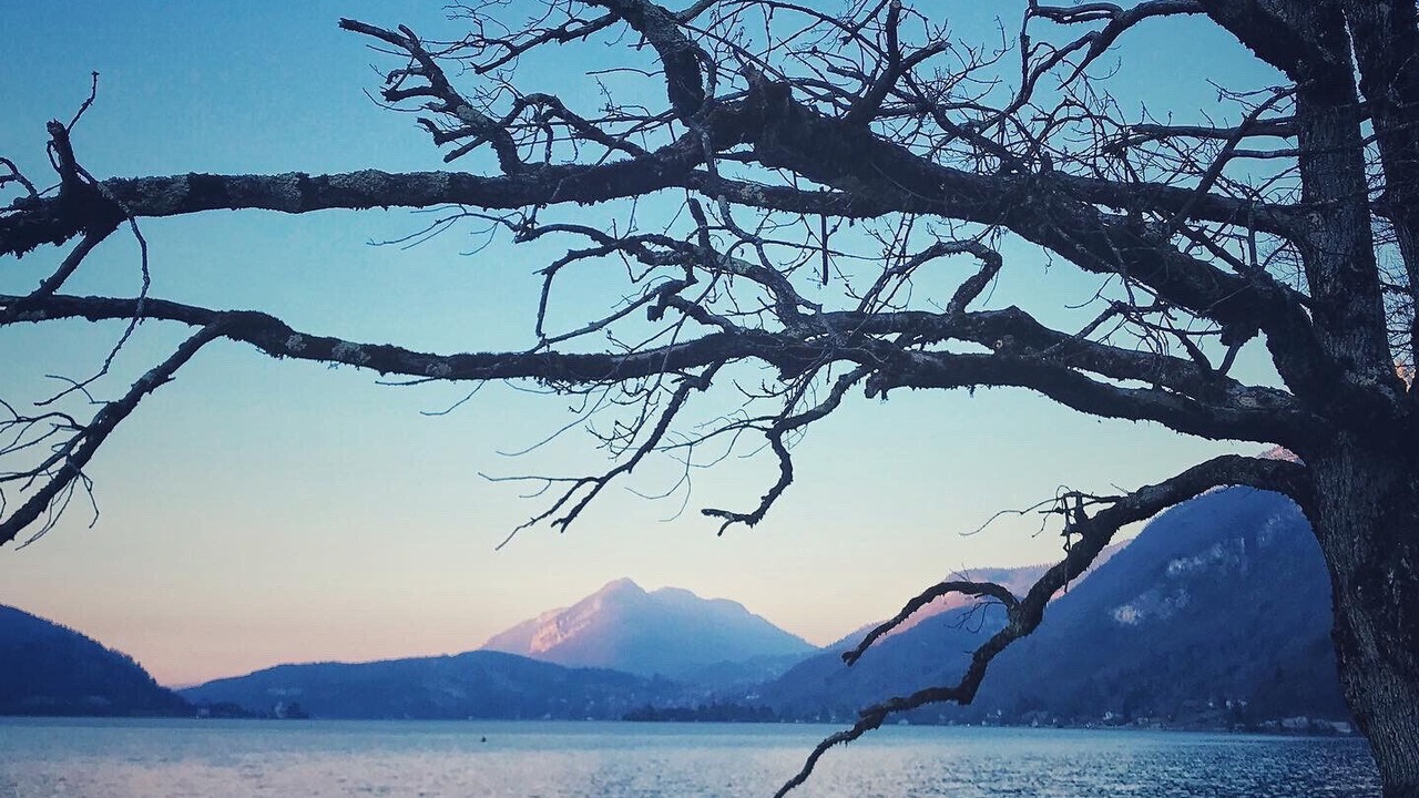 Photo of Others in Doussard