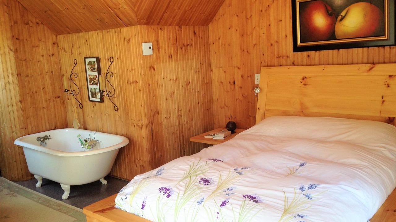 Photo of Bedroom in L'Avenir