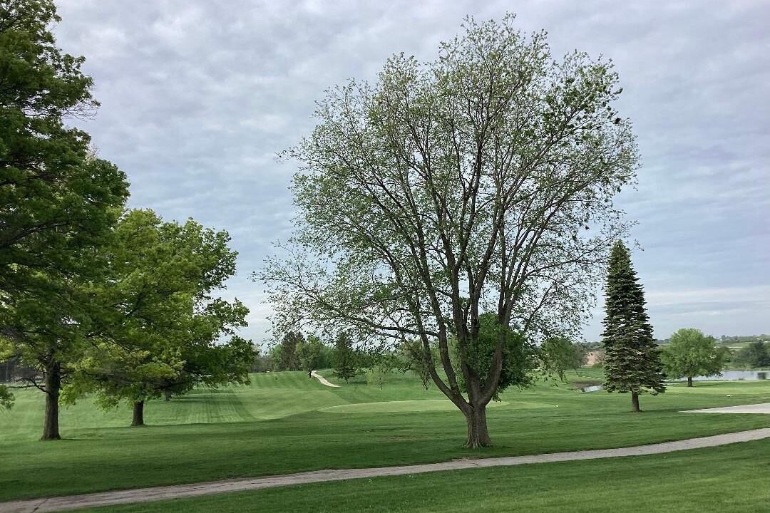 Photo of Others in Altoona